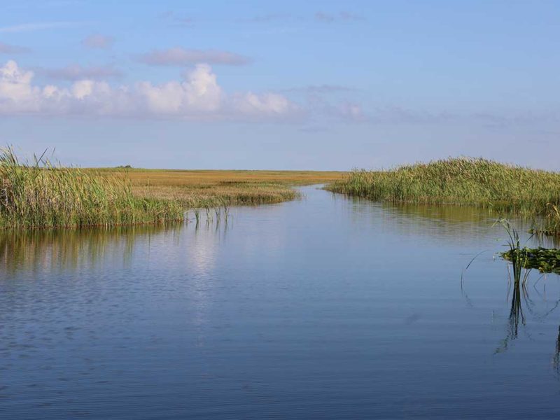 Florida Everglades