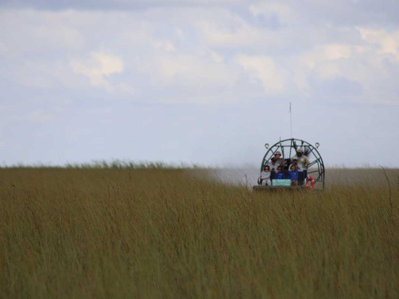 Florida Everglades