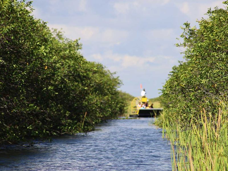 Florida Everglades