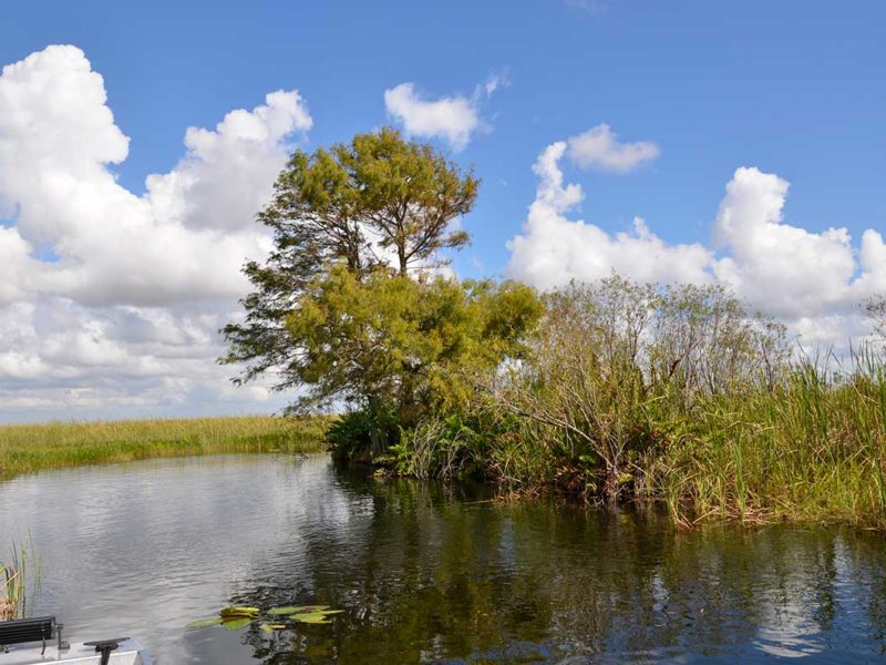 Florida Everglades